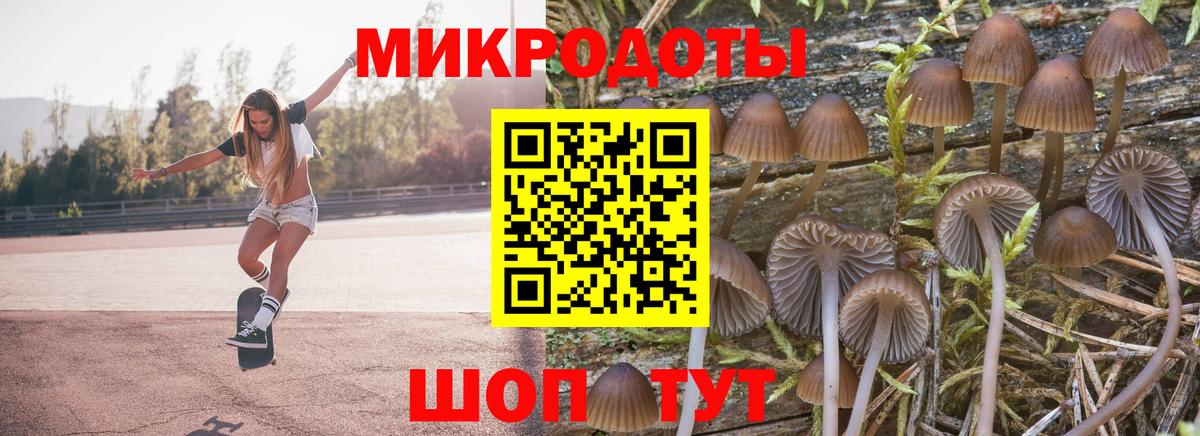 Узловая  Псилоцибиновые грибы ЛСД  Вход с VPN 